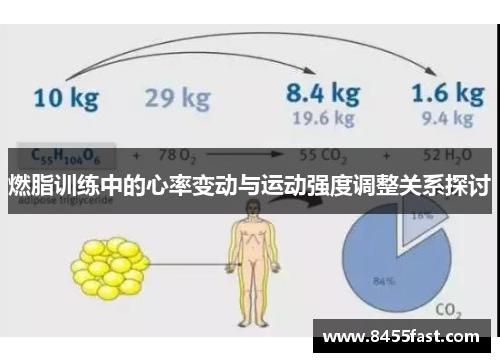 燃脂训练中的心率变动与运动强度调整关系探讨